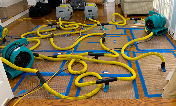 Professional Basement Flood Cleanup technician working in Middlefield, OH